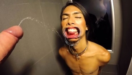 After pissing ladyboy got mouth fucked
