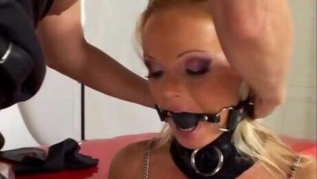 Glamorous pornstars Silvia Saint and Tiffany Mynx fuck with a dildo
